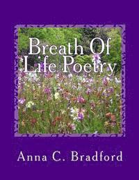 bokomslag Breath Of Life Poetry: Breathing Life Into A Weary Soul