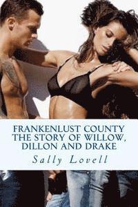 bokomslag Frankenlust County The Story of Willow, Dillon and Drake