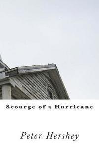 bokomslag Scourge of a Hurricane