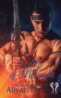 bokomslag Lion of Midnight