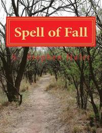 bokomslag Spell of Fall: A Witch Story With Twists