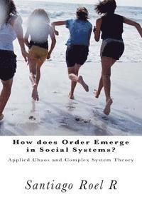 bokomslag How does Order emerge in Social Systems?: Applied Chaos and Complex System Theory