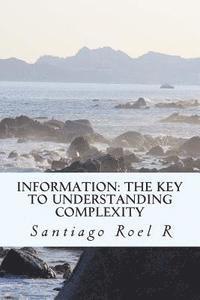 bokomslag Information: The Key to Understanding Complexity