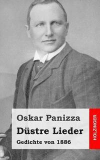 bokomslag Düstre Lieder: Gedichte von 1886