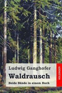 bokomslag Waldrausch: Beide Bände in einem Buch