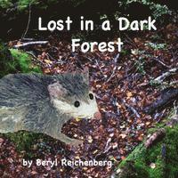 bokomslag Lost in a Dark Forest