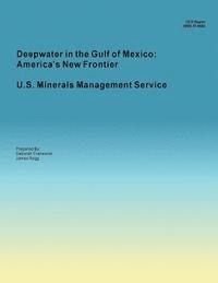 bokomslag Deepwater in the Gulf of Mexico: America's New Frontier Minerals Management Service