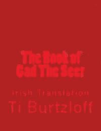 bokomslag The Book of Gad The Seer: Irish Translation