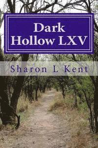 bokomslag Dark Hollow LXV