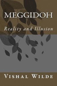 bokomslag Meggidoh: Reality and Illusion