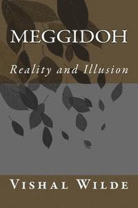Vishal Wilde - Meggidoh: Reality and Illusion, Häftad