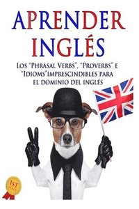 bokomslag Aprender inglés: Los "Phrasal verbs", "Idioms" y "Proverbs" imprescindibles para el dominio del inglés