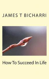 bokomslag How To Succeed In Life