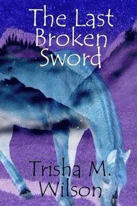 bokomslag The Last Broken Sword