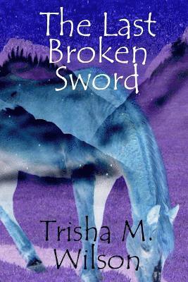 bokomslag The Last Broken Sword