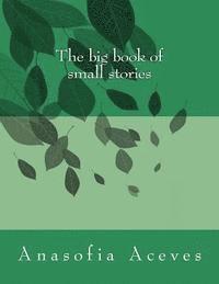 bokomslag The big book of small stories