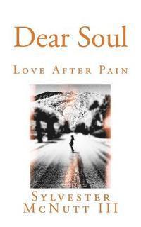 bokomslag Dear Soul: Love After Pain