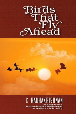 bokomslag Birds That Fly Ahead: novel