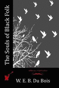 W. E. B. Du Bois - The Souls of Black Folk, Häftad
