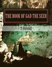 bokomslag The Book of Gad the Seer: Chichewa Translation