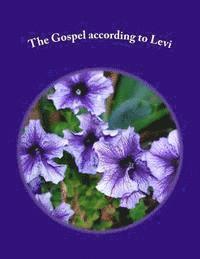 bokomslag The Gospel according to Levi