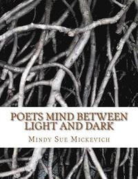 bokomslag Poets mind between light and dark