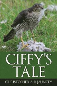 Ciffy's Tale 1