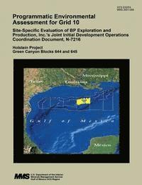 bokomslag Programmatic Environmental Assessment for Grid 10 Site-Specific Evaluation of BP Exploration and Production, Inc.'s Joint Initial Development Operatio