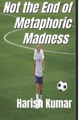 Not the End of Metaphoric Madness: The series ends Not the madness 1