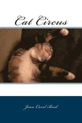 Cat Circus 1