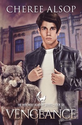 bokomslag Werewolf Academy Book 6