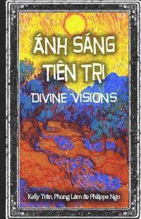 bokomslag Divine Visions: Guide for Tarot Beginners