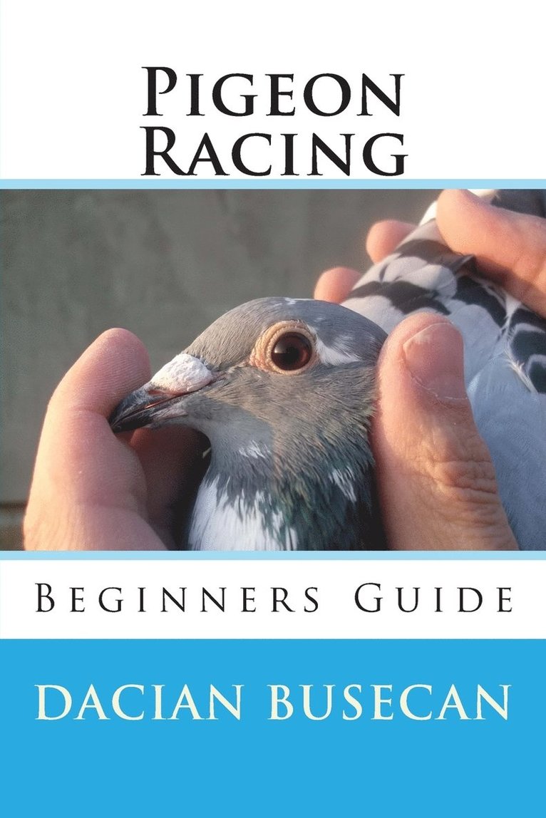 Pigeon Racing 1