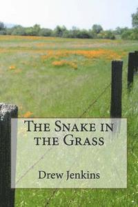 bokomslag The Snake in the Grass