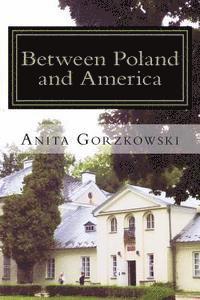 bokomslag Between Poland and America