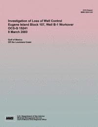 bokomslag Investigation of Loss of Well Control Eugene Island Block 107, Well B-1 Workover OCS-G 15241 8 March 2003