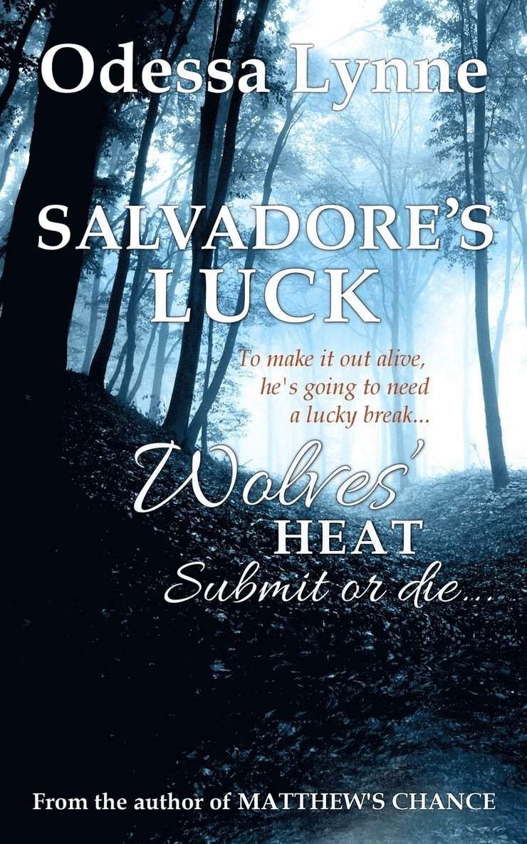 Salvadore's Luck 1