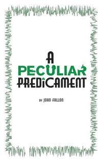 bokomslag A Peculiar Predicament: A roguish adventure set in 1920s Ireland and Central America