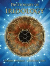 bokomslag Dictionary of Iridology