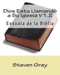 bokomslag Dios Esta Llamando a Su Iglesia V1.2: Estudia de la Biblia