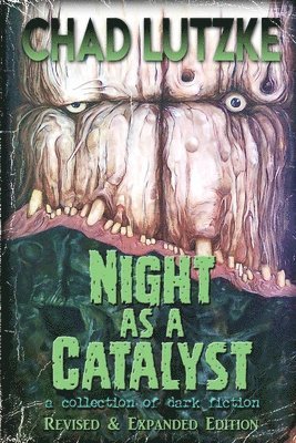 bokomslag Night as a Catalyst