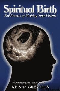 bokomslag Spiritual Birth: The Process of Birthing Your Vision