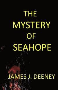 bokomslag The Mystery of Seahope