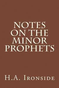 bokomslag Notes On The Minor Prophets