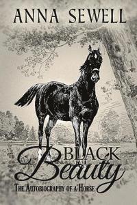 bokomslag Black Beauty, The Autobiography of a Horse: Illustrated