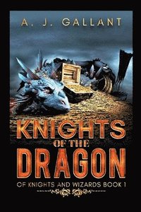 bokomslag Knights of the Dragon