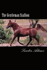 bokomslag The Gentleman Stallion