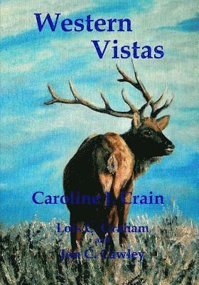Western Vistas: A Travelogue 1