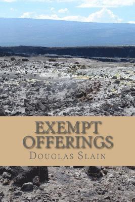 Douglas Slain - Exempt Offerings: Crowdfunding and Beyond, Häftad