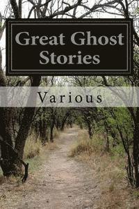 bokomslag Great Ghost Stories